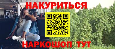 гашик Заводоуковск