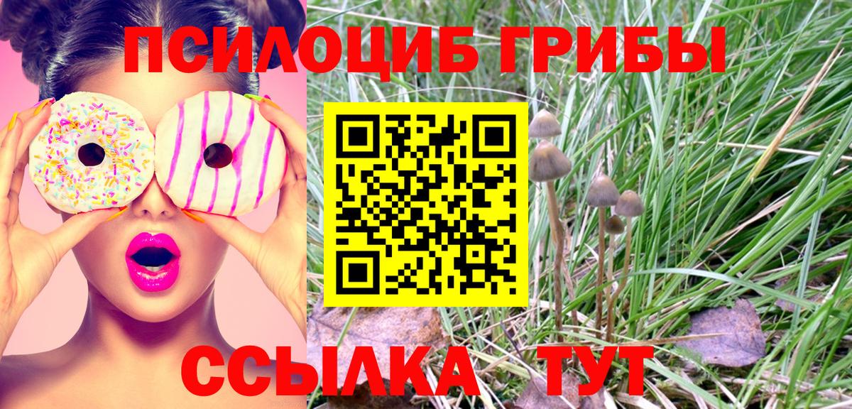 Псилоцибиновые грибы Magic Shrooms Красноуфимск
