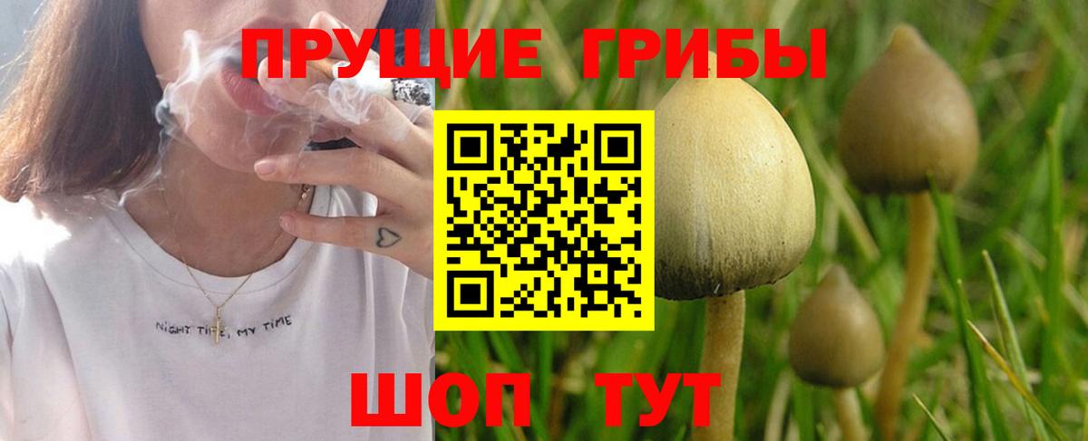 Красноуфимск  Галлюциногенные грибы GOLDEN TEACHER  Псилоцибиновые грибы мухоморы  Вход с VPN 